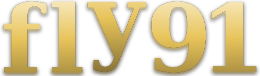 fly91 logo